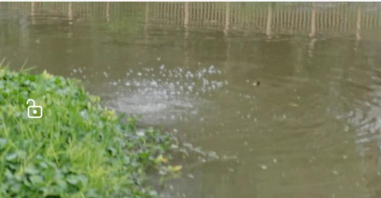 1705375858713206.png 5.png