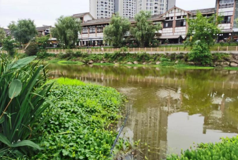 1705375869258845.png 7.png