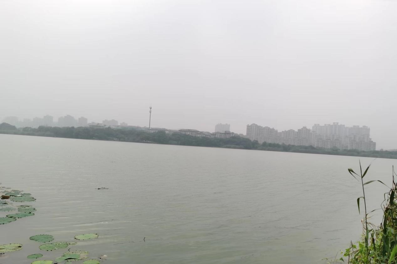 1705375873693036.png 8.png