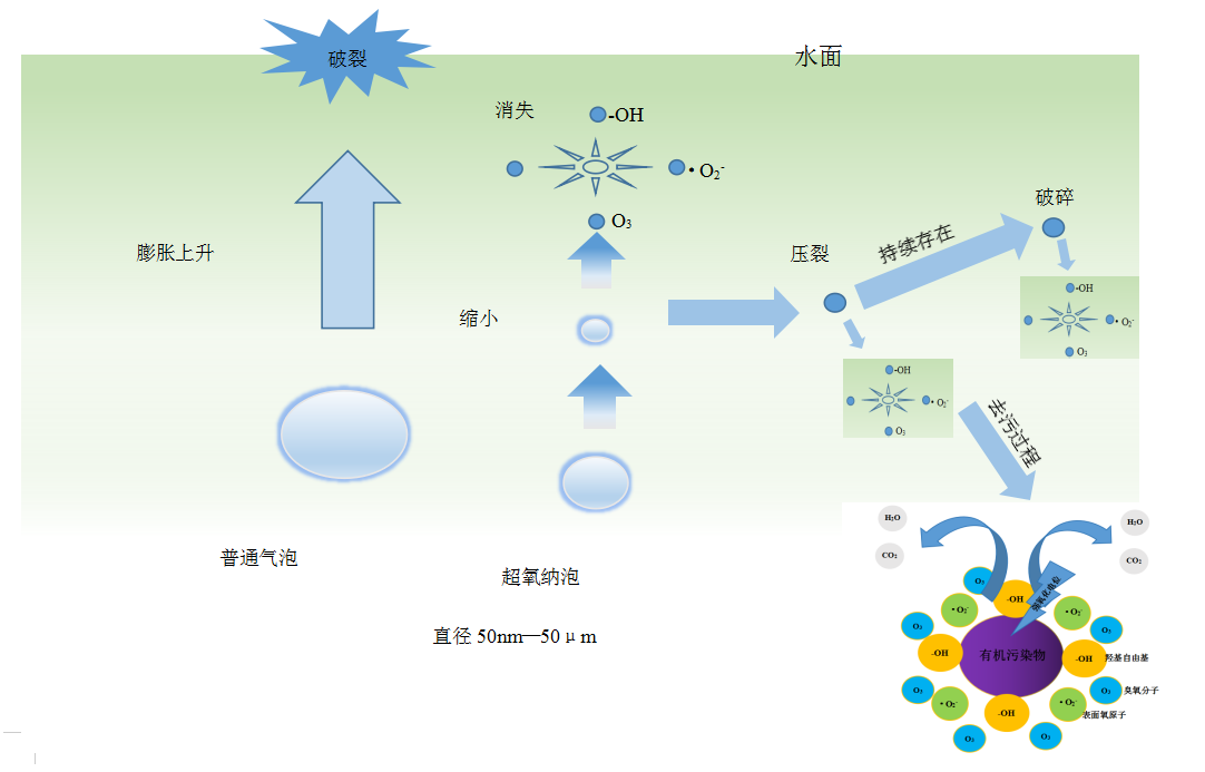 1705375924222313.png 10.png