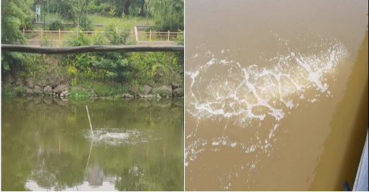 1705376345288483.png 13.png