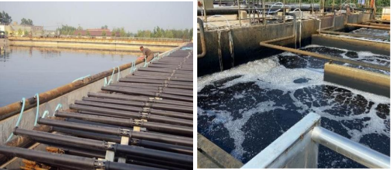 1705376382225283.png 14.png