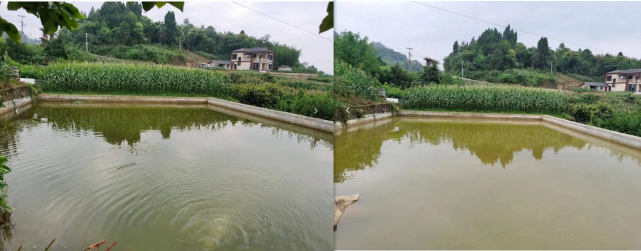 1720089596594945.jpg 36.jpg