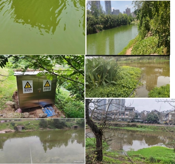 1720151290668224.jpg 2.jpg