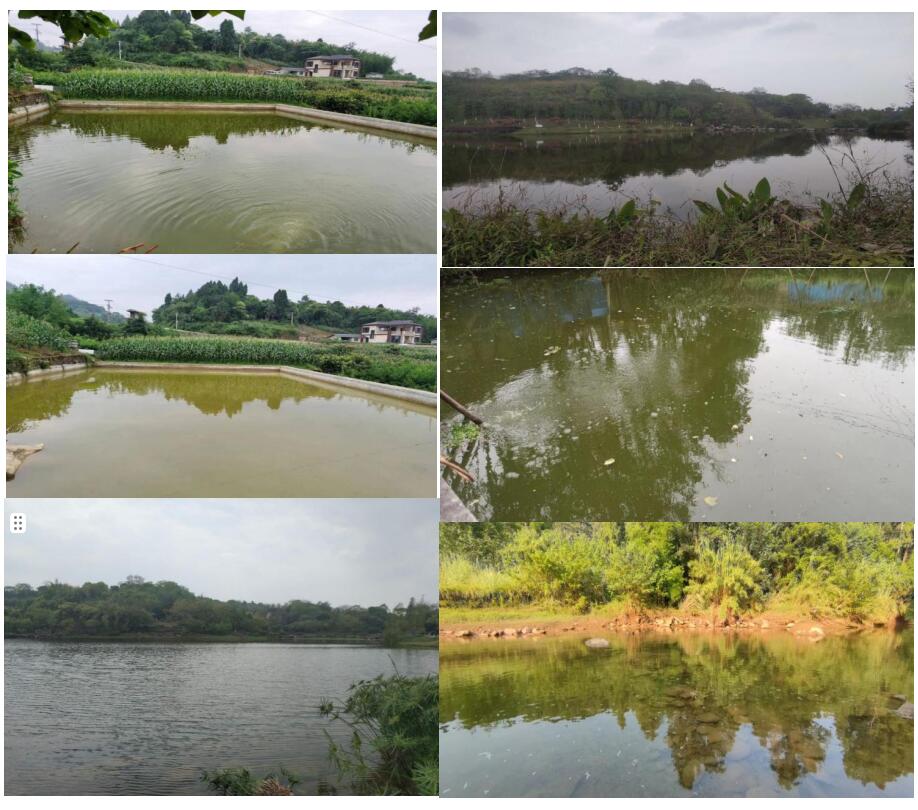 1720152234445961.jpg 6.jpg