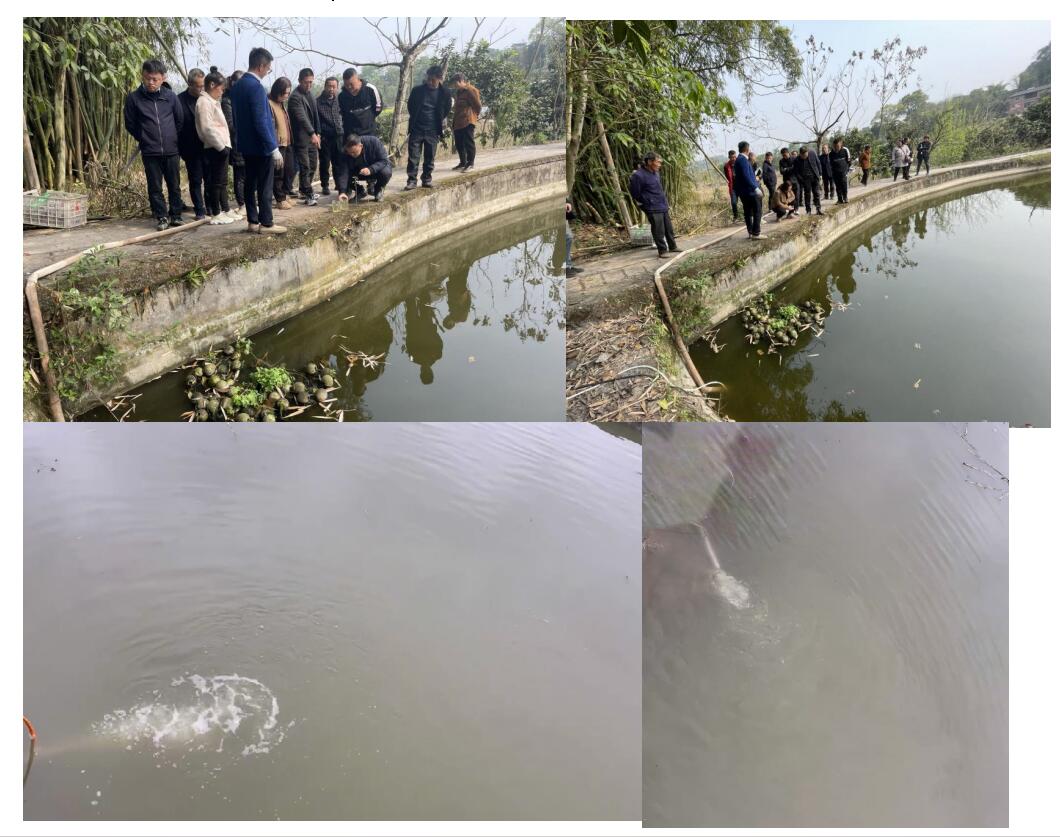 1720179567134393.jpg 10.jpg