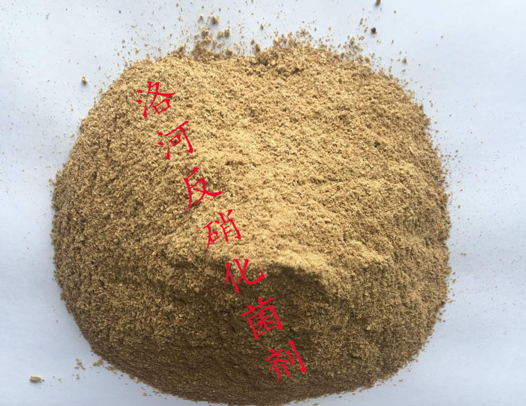 1611899380273768.png 洛河反硝化菌剂.png