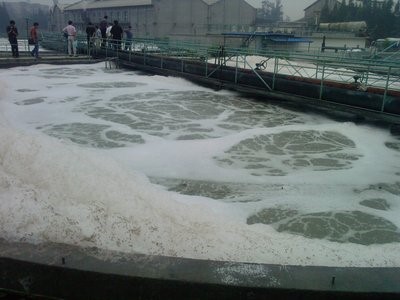 1610701581538413.jpg 3.jpg