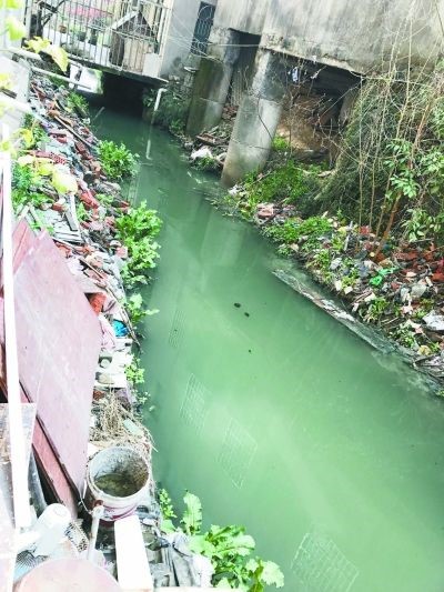 1610701496112011.jpg 1.jpg