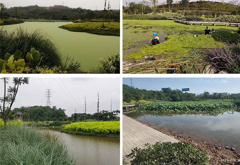 1611821984882194.png 033.png